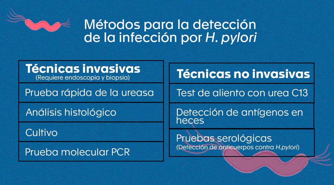 Detecci N Y Eliminaci N De H Pylori Laboratorio Cl Nico Hematol Gico